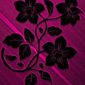 Meet your Posher, Pamela